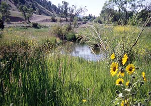 EPAS Montana field photo