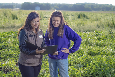 Two people talking in a field looking at a document