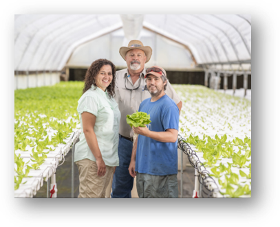 Three people in a greenhouse