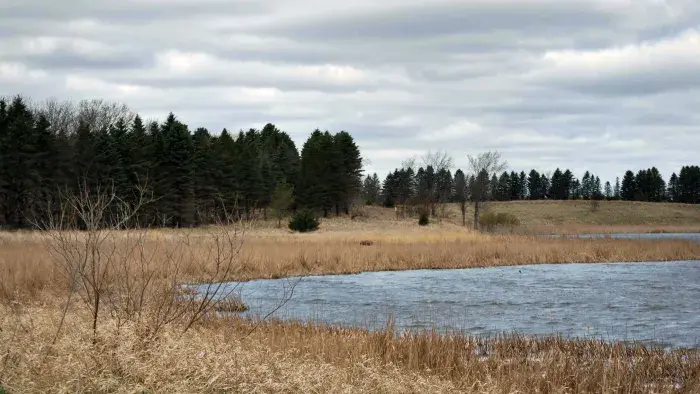 A pond outdoors in winter
