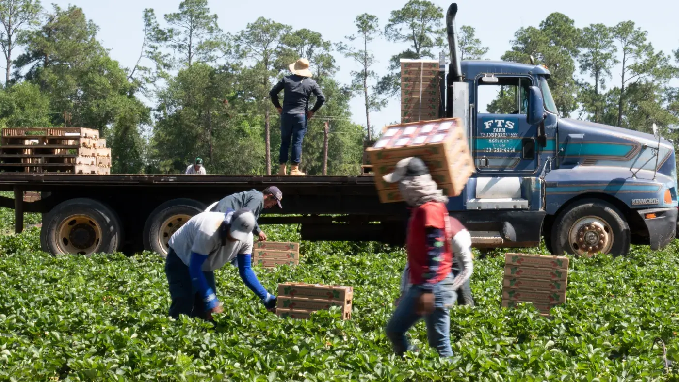 Farm Labor Stabilization and Protection Pilot Grant Program